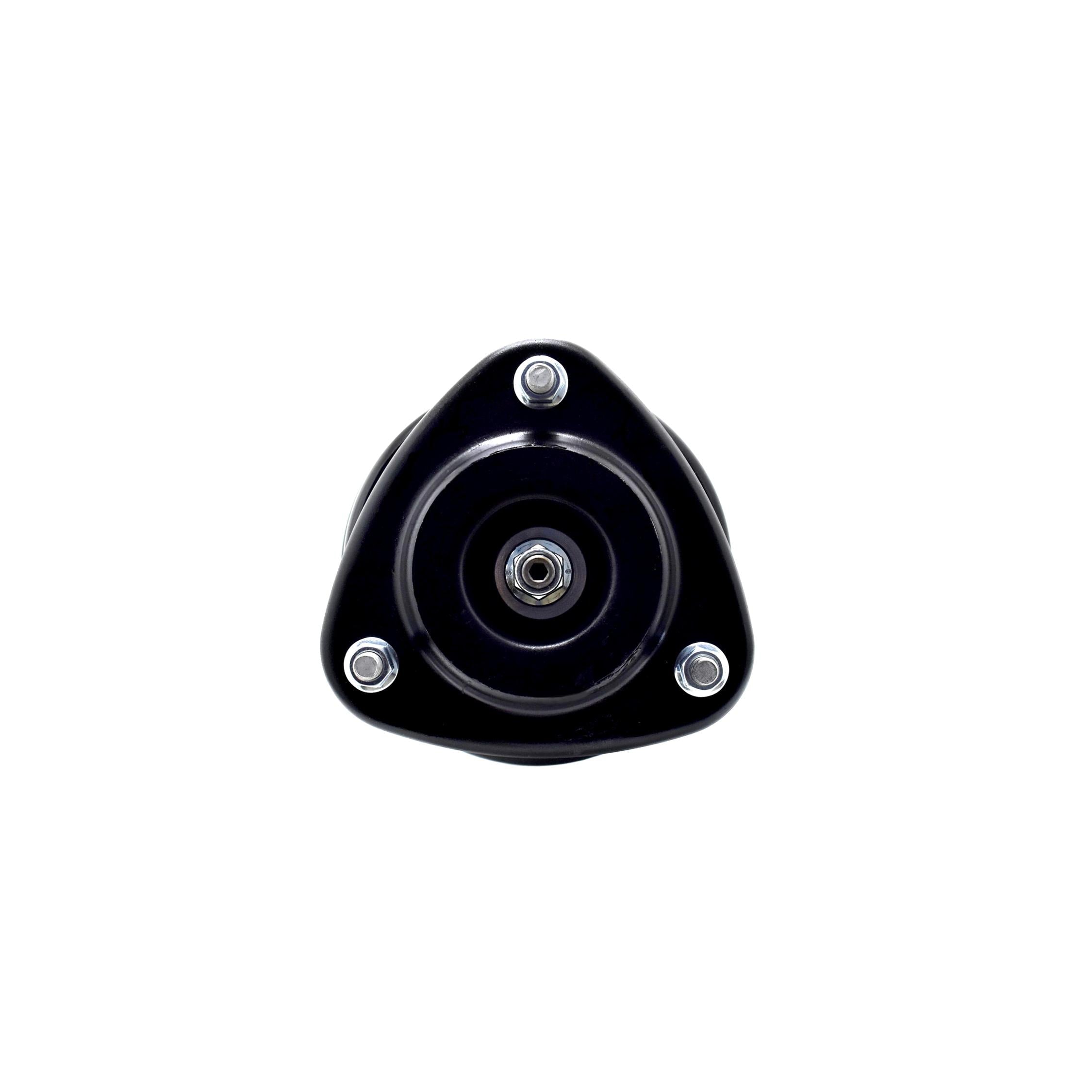 Suspension Strut and Coil Spring Assembly LS54-96091L