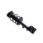 Suspension Strut and Coil Spring Assembly LS54-96091L