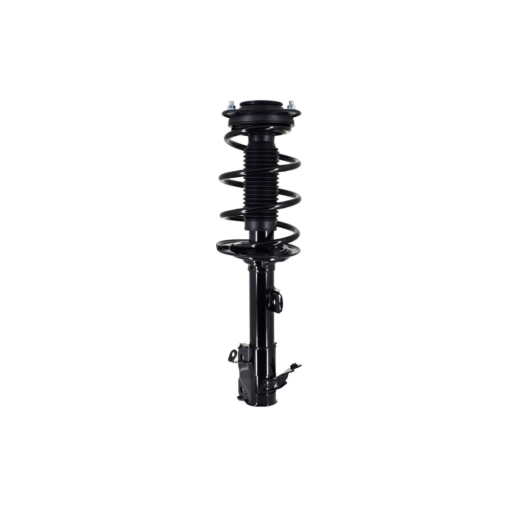 Suspension Strut and Coil Spring Assembly LS54-96091R