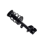 Suspension Strut and Coil Spring Assembly LS54-96091R