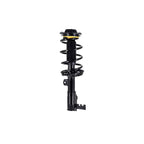 Suspension Strut and Coil Spring Assembly LS54-96101L