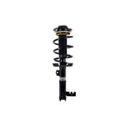 Suspension Strut and Coil Spring Assembly LS54-96101R