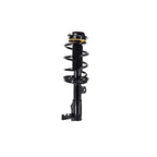 Suspension Strut and Coil Spring Assembly LS54-96101R