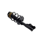 Suspension Strut and Coil Spring Assembly LS54-96101R