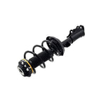 Suspension Strut and Coil Spring Assembly LS54-96101R