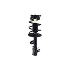Suspension Strut and Coil Spring Assembly LS54-96141L