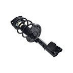 Suspension Strut and Coil Spring Assembly LS54-96141R