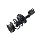 Suspension Strut and Coil Spring Assembly LS54-96141R
