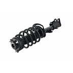 Suspension Strut and Coil Spring Assembly LS54-96151R