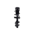 Suspension Strut and Coil Spring Assembly LS54-96161L