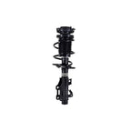 Suspension Strut and Coil Spring Assembly LS54-96171R