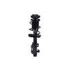 Suspension Strut and Coil Spring Assembly LS54-96181L