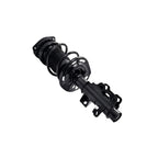 Suspension Strut and Coil Spring Assembly LS54-96181L