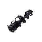 Suspension Strut and Coil Spring Assembly LS54-96181L