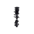 Suspension Strut and Coil Spring Assembly LS54-96181R