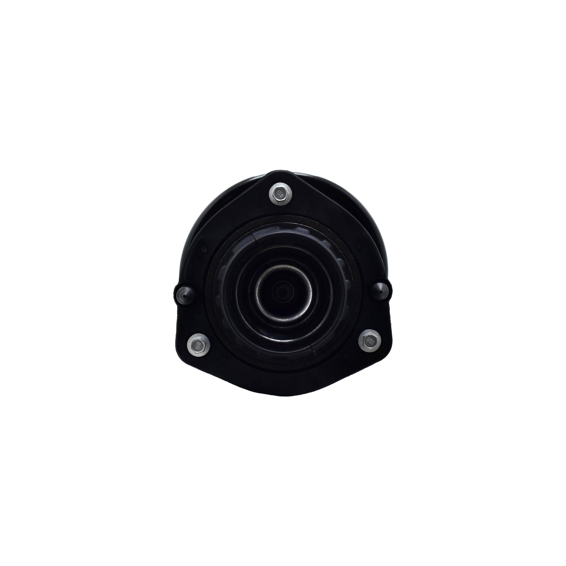 Suspension Strut and Coil Spring Assembly LS54-96181R