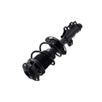 Suspension Strut and Coil Spring Assembly LS54-96181R