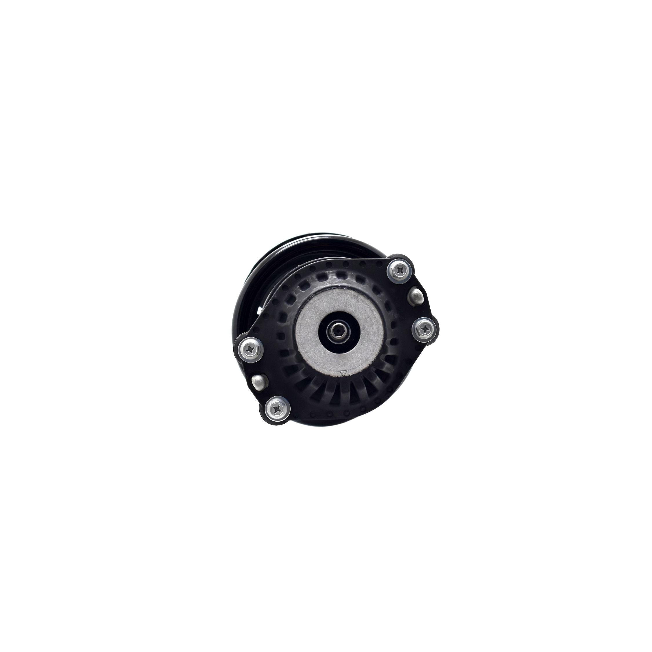 Suspension Strut and Coil Spring Assembly LS54-96201L