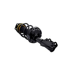 Suspension Strut and Coil Spring Assembly LS54-96201L