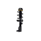 Suspension Strut and Coil Spring Assembly LS54-96201R