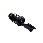 Suspension Strut and Coil Spring Assembly LS54-96201R