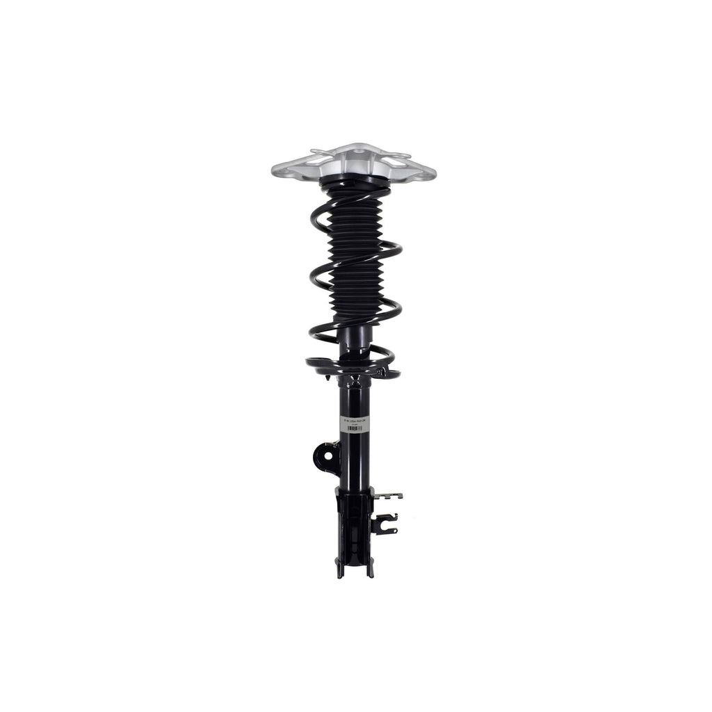 Suspension Strut and Coil Spring Assembly LS54-96212R