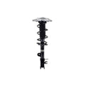 Suspension Strut and Coil Spring Assembly LS54-96212R