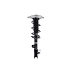 Suspension Strut and Coil Spring Assembly LS54-96212R