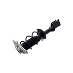 Suspension Strut and Coil Spring Assembly LS54-96212R