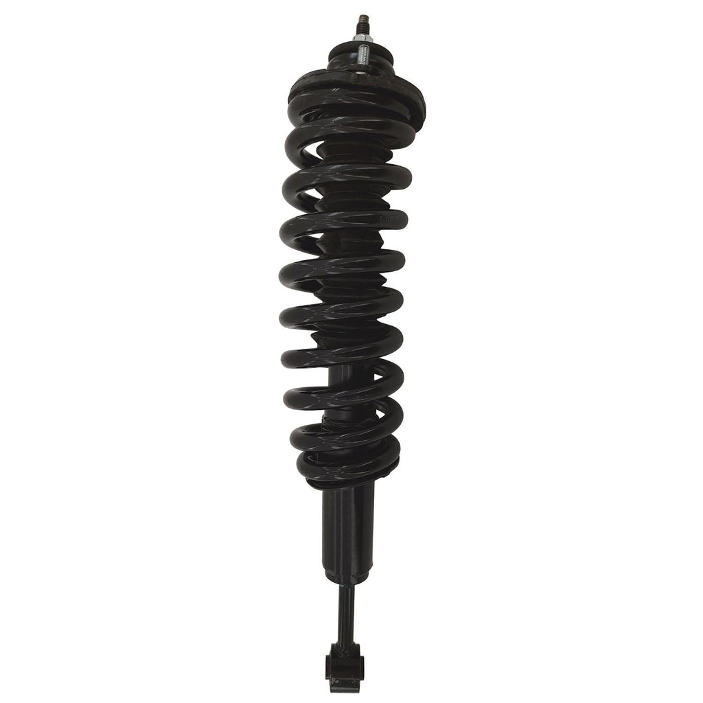 Gold Strut LS54-96231LG