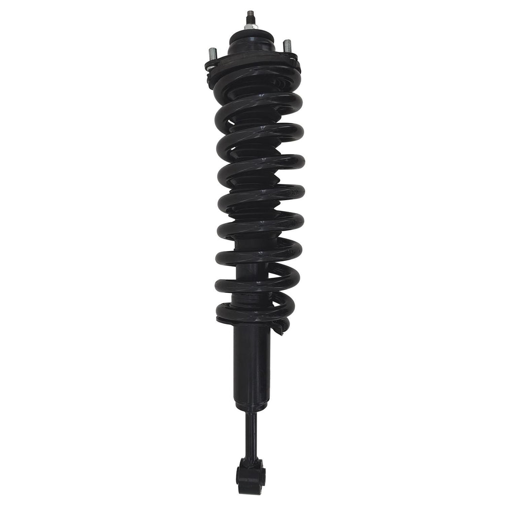 Gold Strut LS54-96231LG