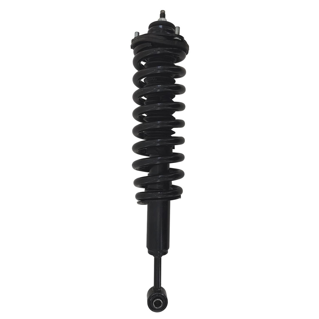 Gold Strut LS54-96231LG
