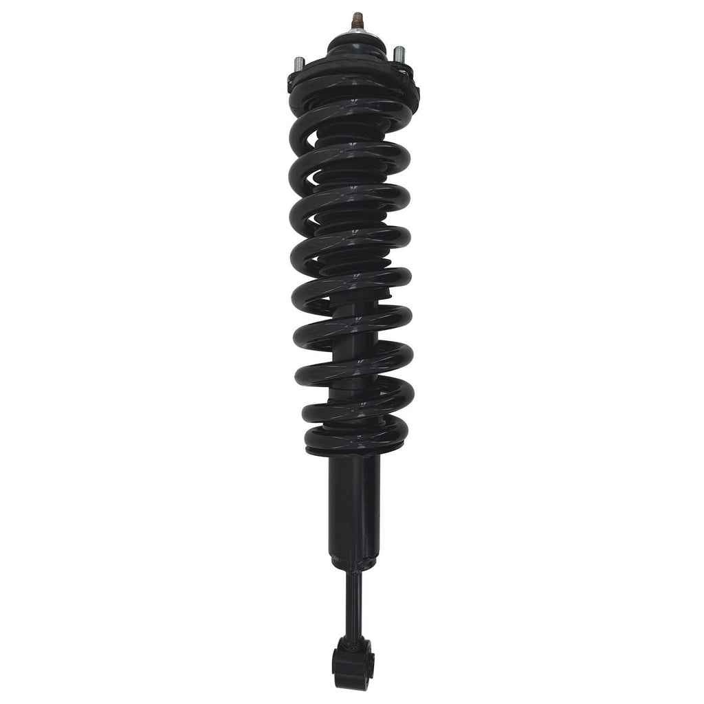 Gold Strut LS54-96231RG