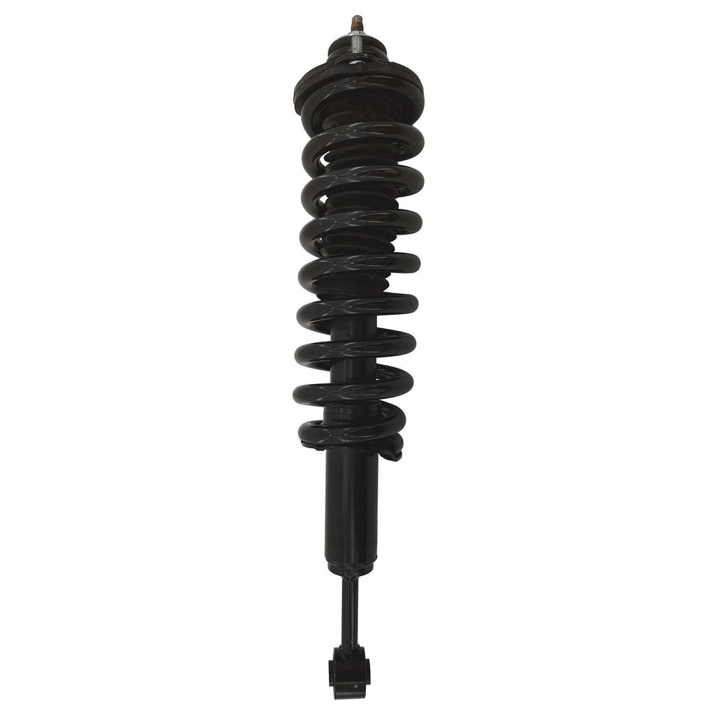 Gold Strut LS54-96231RG