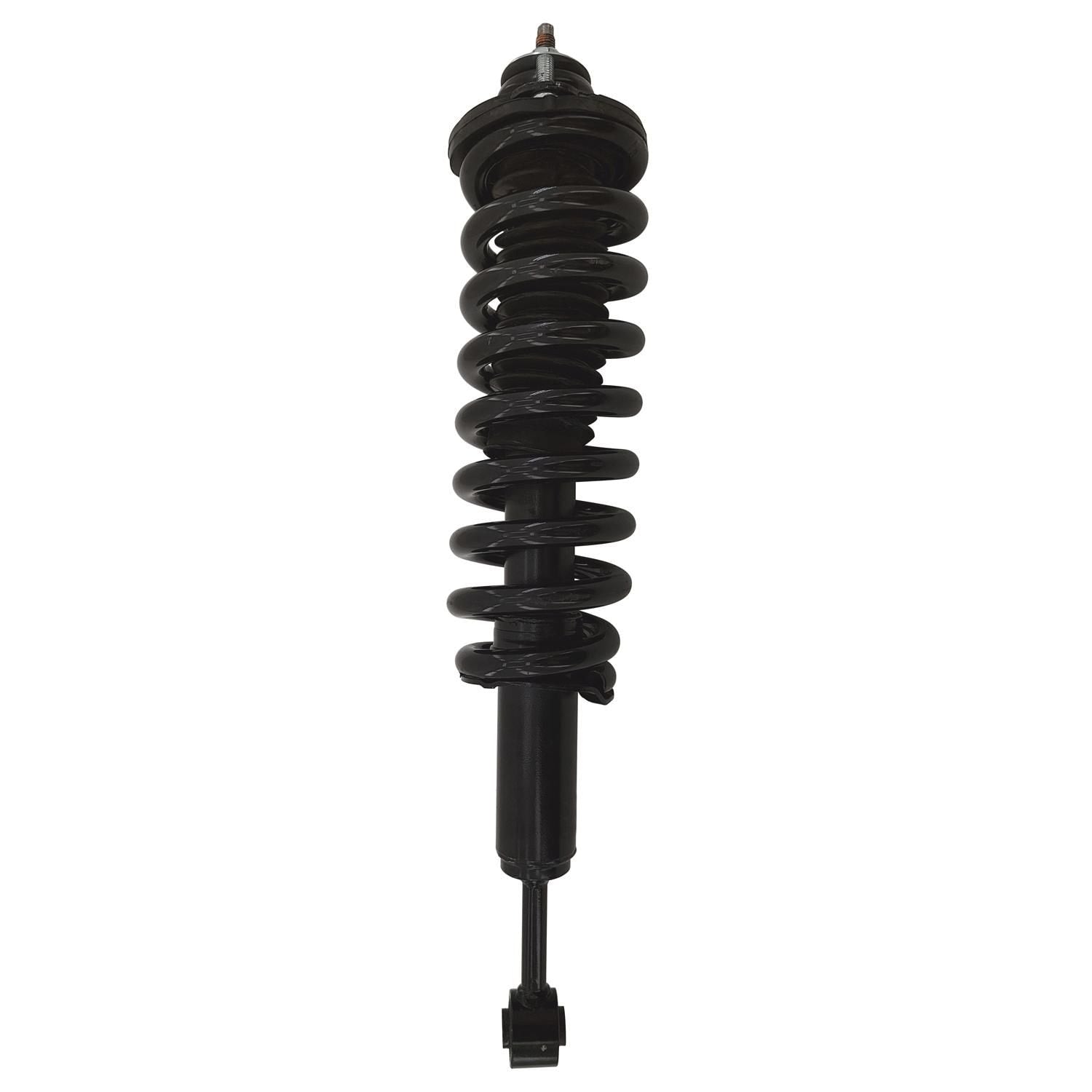 Gold Strut LS54-96231RG
