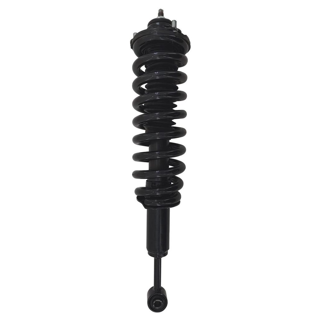 Gold Strut LS54-96231RG