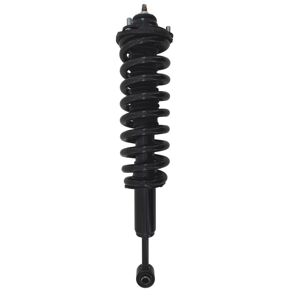 Gold Strut LS54-96231RG