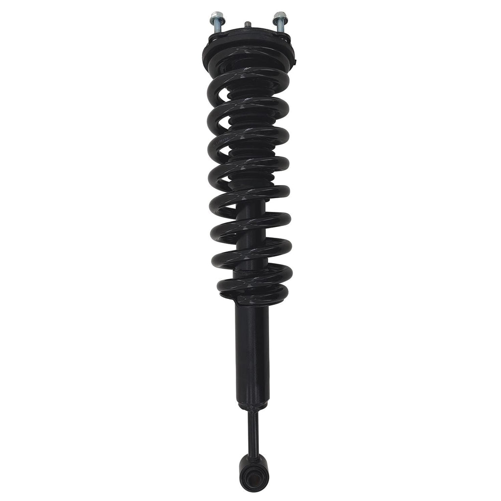Gold Strut LS54-96241RG
