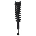 Gold Strut LS54-96241RG