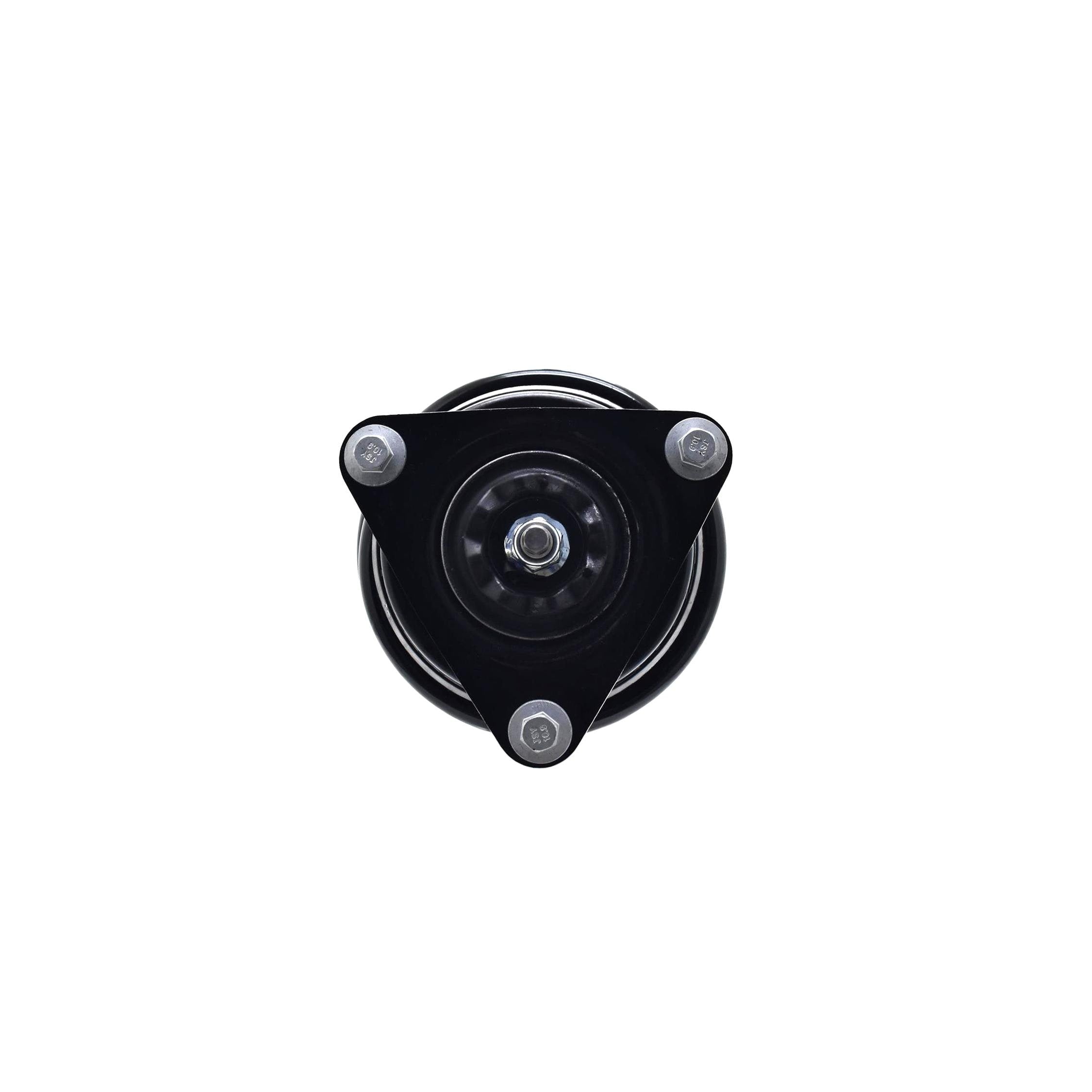 Suspension Strut and Coil Spring Assembly LS54-96341L