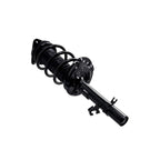 Suspension Strut and Coil Spring Assembly LS54-96341L