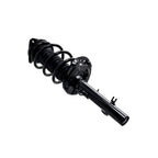 Suspension Strut and Coil Spring Assembly LS54-96341R