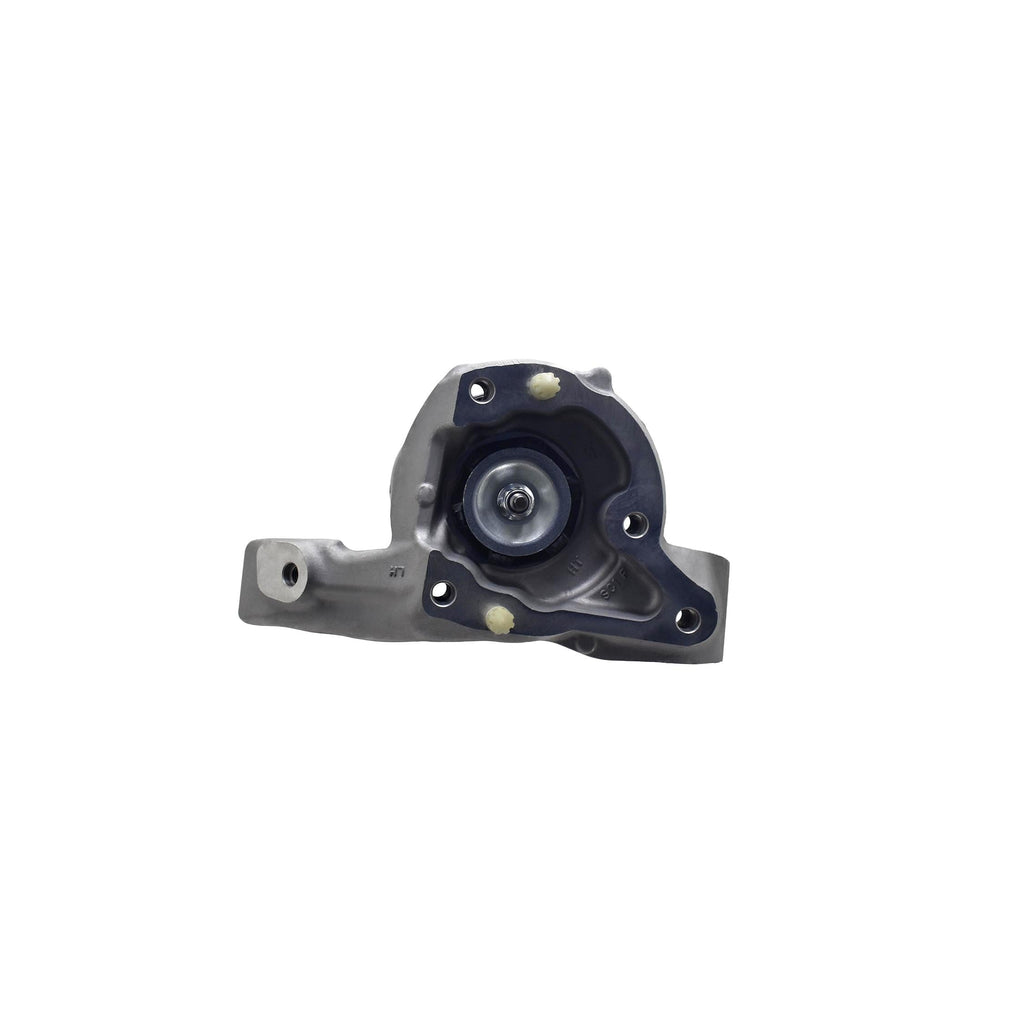 Suspension Strut and Coil Spring Assembly LS54-96381L