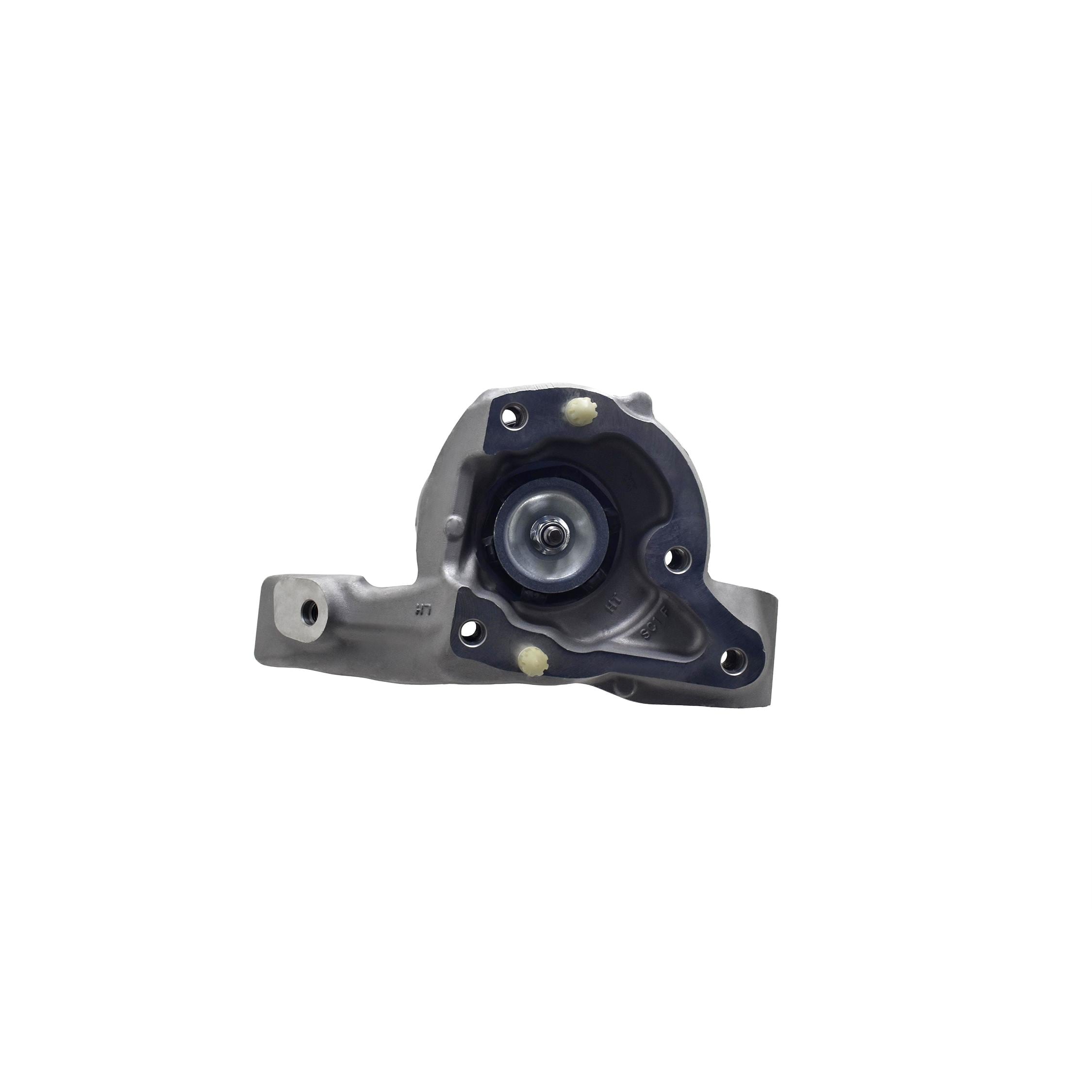 Suspension Strut and Coil Spring Assembly LS54-96381L