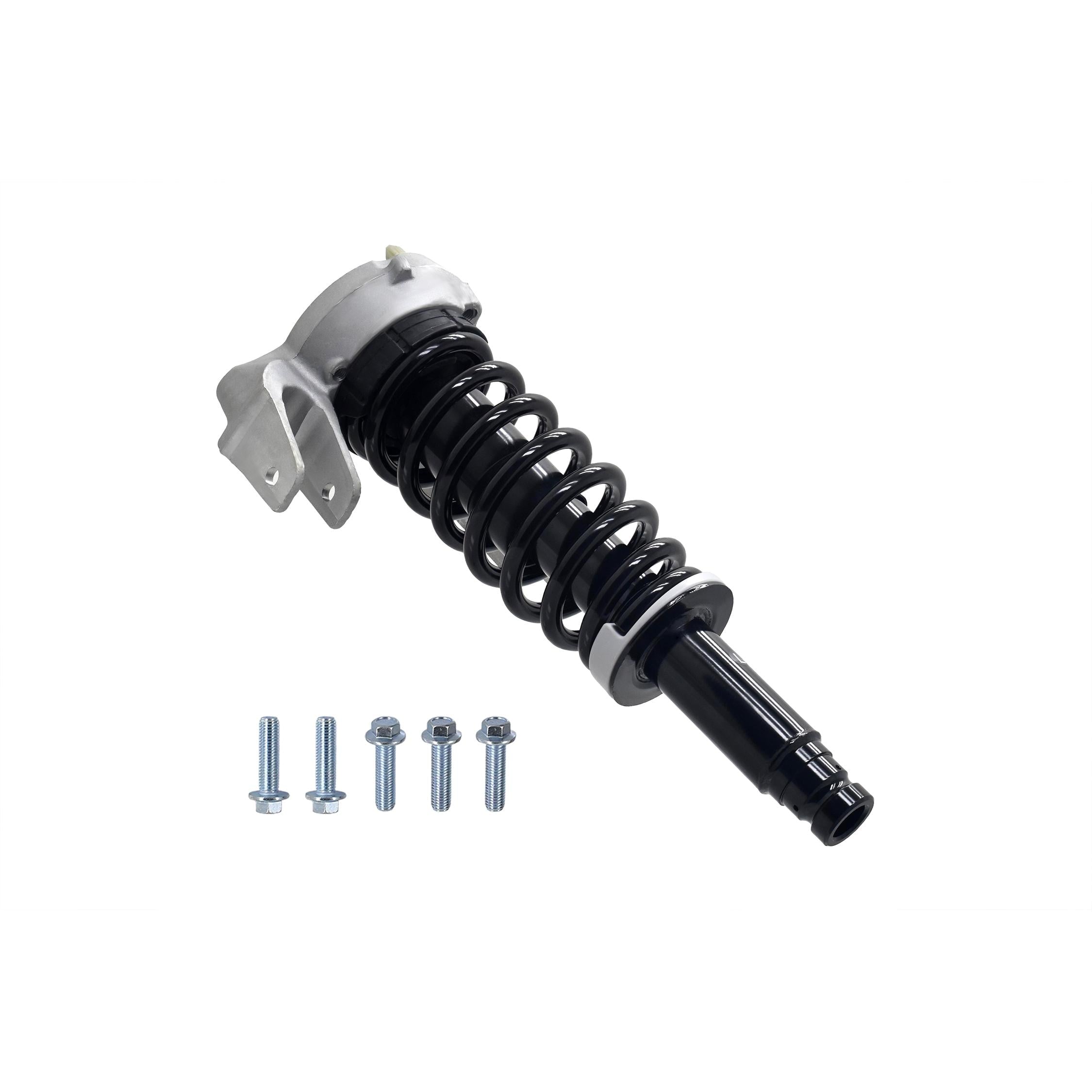 Suspension Strut and Coil Spring Assembly LS54-96381L