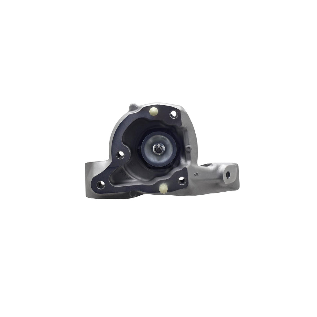 Suspension Strut and Coil Spring Assembly LS54-96381R