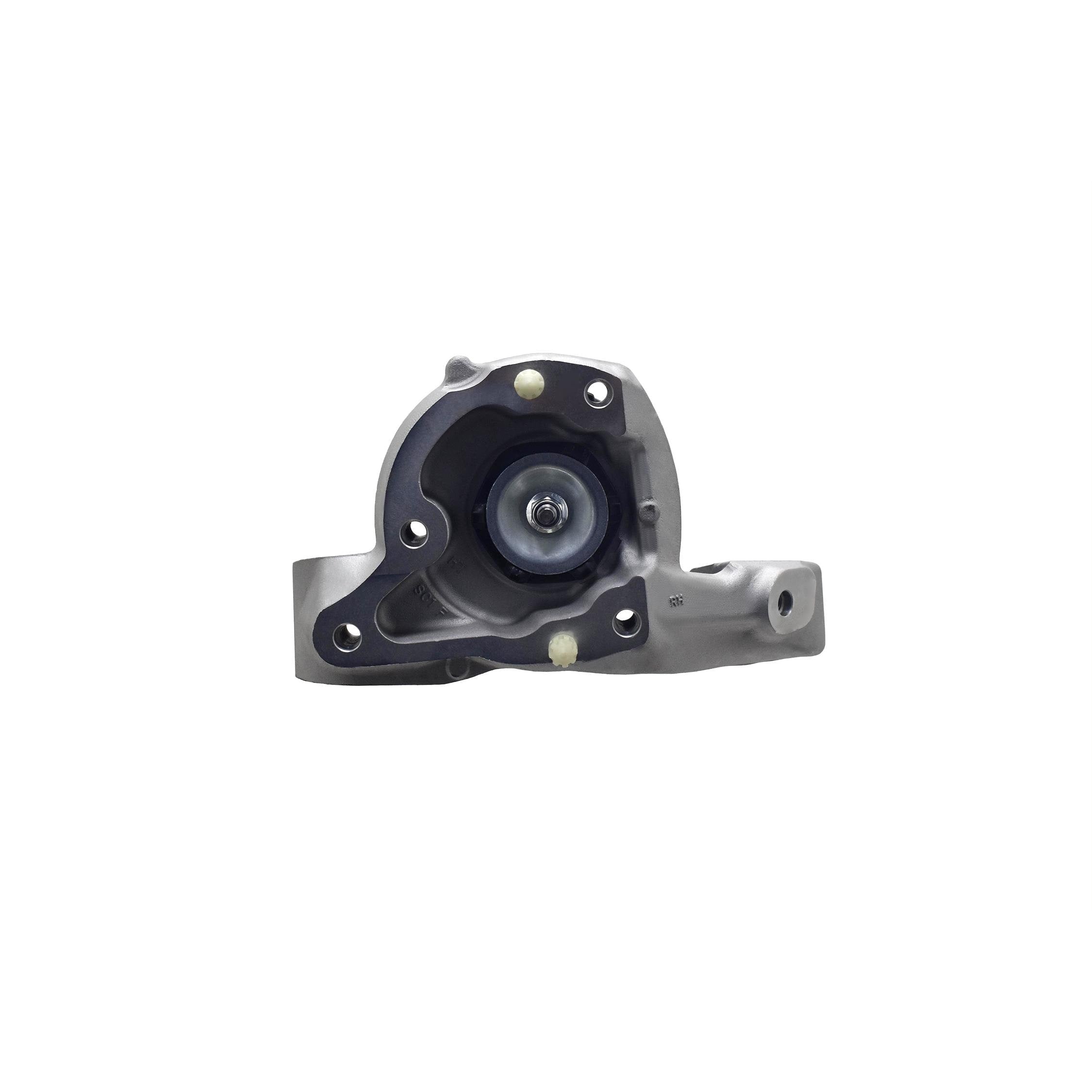Suspension Strut and Coil Spring Assembly LS54-96381R