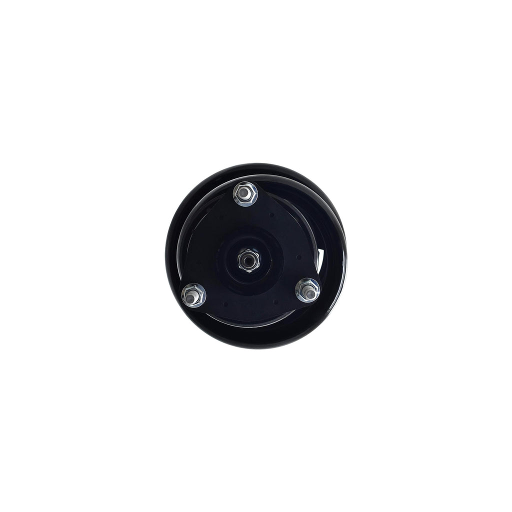 Suspension Strut and Coil Spring Assembly LS54-96431B