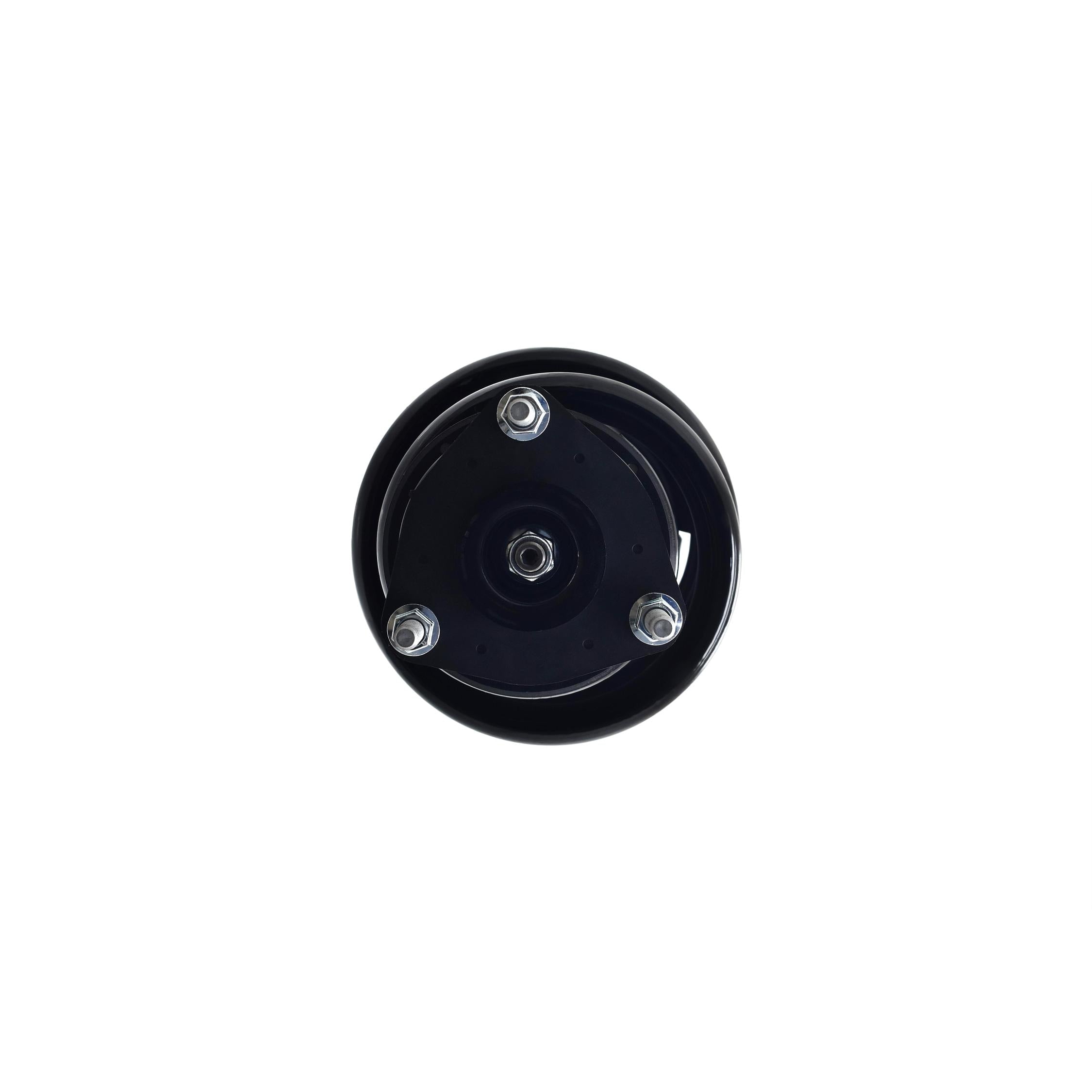 Suspension Strut and Coil Spring Assembly LS54-96431B