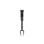 Suspension Strut and Coil Spring Assembly LS54-96461L